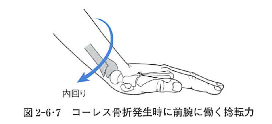 柔道整復各論 Electronic Wizard 柔道整復各論 Electronic Wizard
